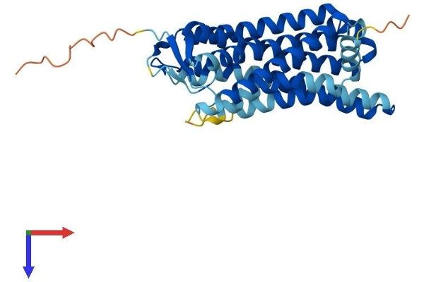 OR3A3 Protein (AA 1-321) (His tag)