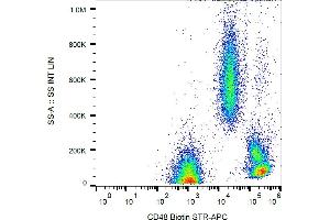 Flow cytometry analysis (surface staining) of human peripheral blood with anti-CD48 (MEM-102) biotin / streptavidin-APC. (CD48 Antikörper  (Biotin))