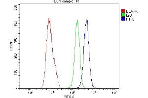 Flow Cytometry analysis of U20S cells using anti-Histone H1. (Histone H1 Antikörper  (AA 20-159))
