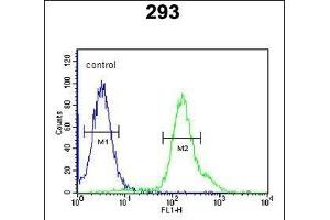 ARMC5 Antibody (C-term) (ABIN651593 and ABIN2840314) flow cytometric analysis of 293 cells (right histogram) compared to a negative control cell (left histogram). (ARMC5 Antikörper  (C-Term))