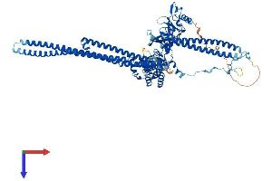 FES Protein (AA 1-822) (His tag)