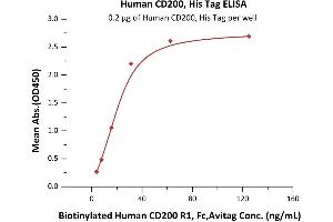 Immobilized Human CD200, His Tag (ABIN2444168,ABIN2180723) at 2 μg/mL (100 μL/well) can bind Biotinylated Human CD200 R1, Fc,Avitag (ABIN5674587,ABIN6253680) with a linear range of 1-31 ng/mL (QC tested).