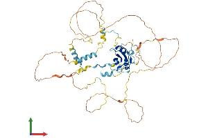 Protein Structure (PS) image for Src Homology 2 Domain Containing Adaptor Protein B (SHB) (AA 1-509) protein (His tag) (ABIN7555441)