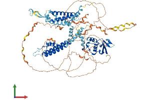 AlphaFold protein structure predicition of Mouse Recombinant Kcnc3 Protein, UniprotID Q63959