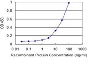 Detection limit for recombinant GST tagged STIM1 is 0. (STIM1 Antikörper  (AA 24-685))