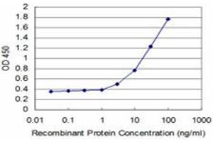 Detection limit for recombinant GST tagged TBX3 is approximately 1ng/ml as a capture antibody. (TBX3 Antikörper  (AA 311-410))