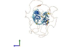 Protein Structure (PS) image for TRAF2 and NCK Interacting Kinase (TNIK) (AA 1-1360) protein (His tag) (ABIN7555793)