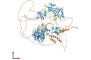 Protein Structure (PS) image for Glutamate Receptor Interacting Protein 1 (GRIP1) (AA 1-1128) protein (His tag) (ABIN7554038)