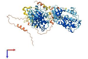 RPS6KA2 Protein (AA 1-733) (His tag)