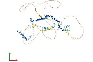 AlphaFold protein structure predicition of Mouse Recombinant Phactr3 Protein, UniprotID Q8BYK5