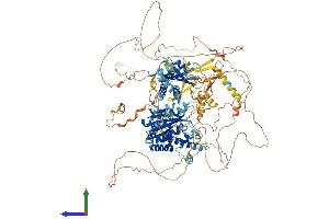 Protein Structure (PS) image for Folliculin Interacting Protein 2 (FNIP2) (AA 1-1108) protein (His tag) (ABIN7564227)