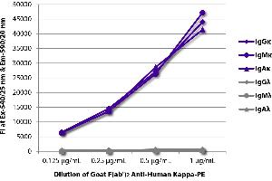 FLISA plate was coated with purified human IgGκ, IgMκ, IgAκ, IgGλ, IgMλ, and IgAλ. (Ziege anti-Human Immunoglobulin kappa Chain Complex (Igk) (Chain kappa) Antikörper (PE))