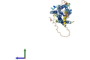 AlphaFold protein structure predicition of Mouse Recombinant Ptger1 Protein, UniprotID P35375 (PTGER1 Protein (AA 1-405) (His tag))