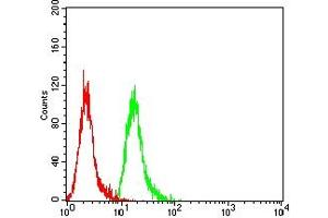 Flow Cytometry (FACS) image for anti-Caspase 6, Apoptosis-Related Cysteine Peptidase (CASP6) (AA 194-293) antibody (ABIN7193443)