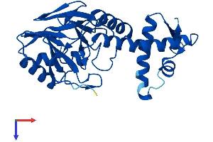LACTB2 Protein (AA 1-288) (His tag)