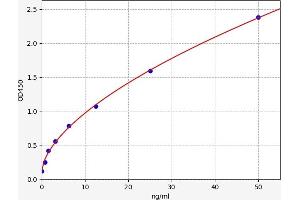 BMPR1A ELISA Kit