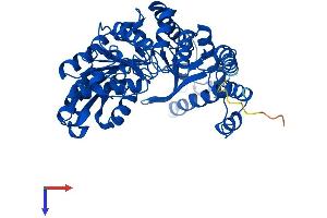 CSAD Protein (AA 1-493) (His tag)