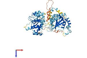 DDX56 Protein (AA 1-547) (His tag)
