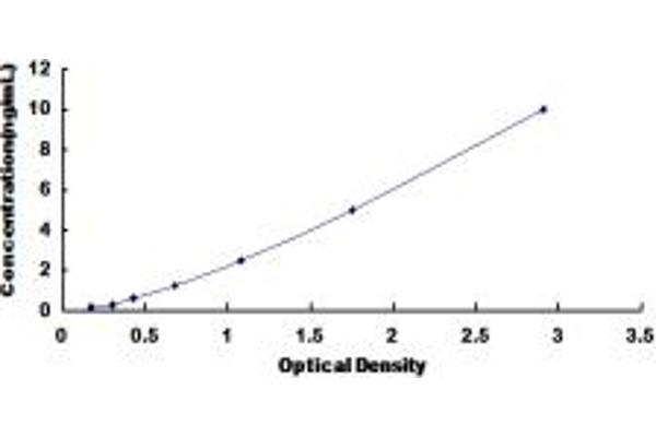 MYCBP ELISA Kit