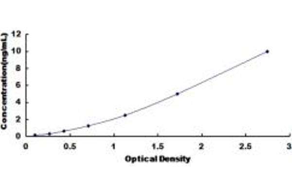 HPS6 ELISA Kit