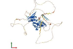 Protein Structure (PS) image for Synapsin I (SYN1) (AA 1-705) protein (His tag) (ABIN7544116)