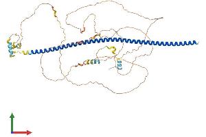 Protein Structure (PS) image for Brain-Enriched Guanylate Kinase-Associated (BEGAIN) (AA 1-600) protein (His tag) (ABIN7557877)