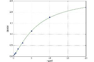 Ligase III, DNA, ATP-Dependent (LIG3) ELISA Kit