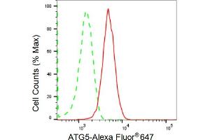 Flow cytometric analysis of ATG5 expression in HepG2 cells using ATG5 antibody (ABIN7797674), 1:2,000). (Rekombinanter ATG5 Antikörper)