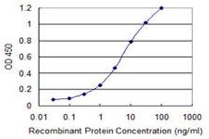 Detection limit for recombinant GST tagged ETV1 is 0. (ETV1 Antikörper  (AA 148-257))