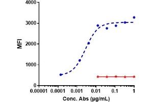A549 cells were stained with Anti-ROR1 Reference Antibody (zilovertamab) and negative control protein respectively, washed and then followed by PE and analyzed with FACS, EC50=0. (Rekombinanter ROR1 (Zilovertamab Biosimilar) Antikörper)