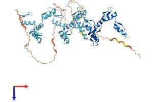 ZNF250 Protein (AA 1-560) (His tag)