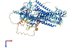 ANO3 Protein (AA 1-981) (His tag)