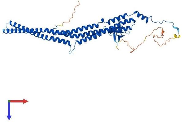 PACSIN3 Protein (AA 1-424) (His tag)