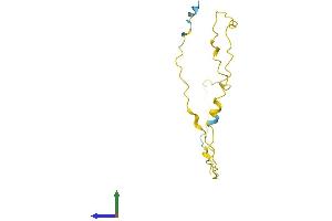 Protein Structure (PS) image for Variable Charge, X-Linked 2 (VCX2) (AA 1-139) protein (His tag) (ABIN7545067)
