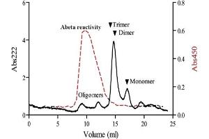 Abeta oligomer-specific antibody was adsorbed to Nunc-Immuno MaxiSorp plates (Nunc, Roskilde, Denmark) at 2 ug/ml in PBS. (beta Amyloid Antikörper)