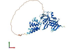 Protein Structure (PS) image for Absent in Melanoma 2 (AIM2) (AA 1-343) protein (His tag) (ABIN7551962)