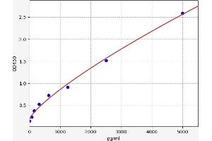 Ribokinase ELISA Kit