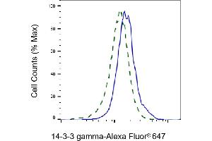 Validation of 14-3-3 gamma knockdown using flow cytometry.