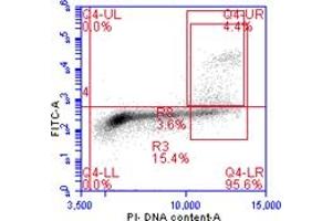 Flow Cytometry (FACS) image for anti-Histone H3 (H3) (pSer10) antibody (ABIN7449558) (Histone 3 Antikörper  (pSer10))
