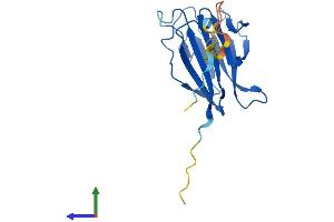 Protein Structure (PS) image for TRAF-Interacting Protein with Forkhead-Associated Domain (TIFA) (AA 1-184) protein (His tag) (ABIN7544471)