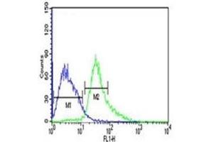 ATF1 antibody flow cytometric analysis of Jurkat cells (right histogram) compared to a negative control (left histogram). (AFT1 Antikörper  (AA 193-219))