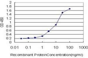 Detection limit for recombinant GST tagged GHRL is approximately 0. (Ghrelin Antikörper  (AA 1-117))