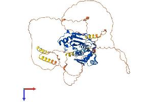 SENP2 Protein (AA 1-589) (His tag)