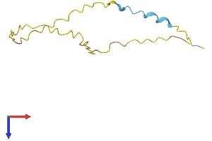Late Cornified Envelope 3D (LCE3D) (AA 1-92) protein (Fc Tag)