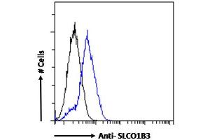 ABIN570800 Flow cytometric analysis of paraformaldehyde fixed HepG2 cells (blue line), permeabilized with 0.