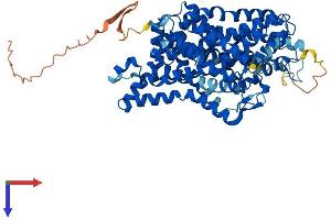 SLC6A2 Protein (AA 1-617) (His tag)