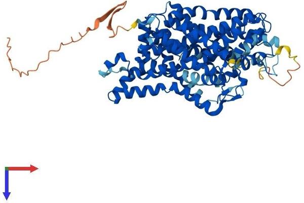 SLC6A2 Protein (AA 1-617) (His tag)