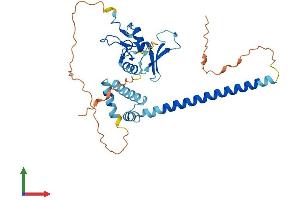Protein Structure (PS) image for PHD Finger Protein 11 (PHF11) (AA 1-337) protein (His tag) (ABIN7562001)