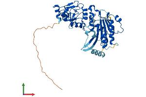 Protein Structure (PS) image for DNA (Cytosine-5-)-Methyltransferase 3 Like (TRDMT1) (AA 1-386) protein (His tag) (ABIN7547119)