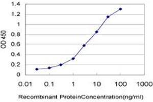 Detection limit for recombinant GST tagged IL8 is approximately 0. (IL-8 Antikörper  (AA 21-99))